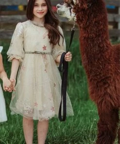 Promo 🎁 Lola + The Boys 👧 Girls Golden Star Party 👗 Dress 🛒 12 Lola + The Boys Girls Golden Star Party Dress