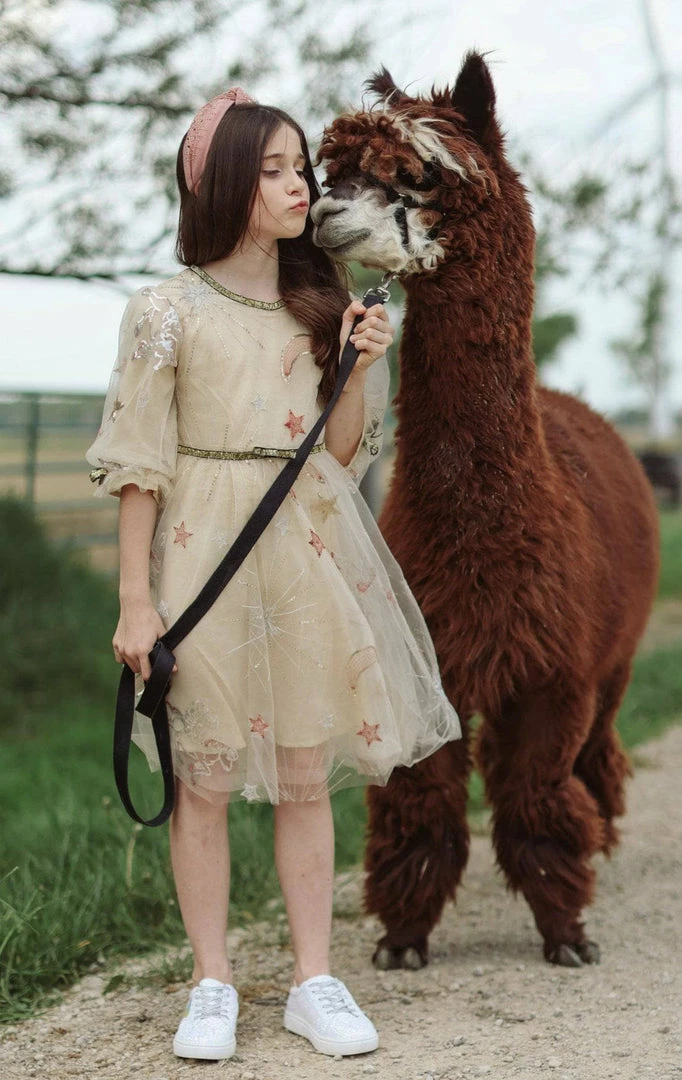 Promo 🎁 Lola + The Boys 👧 Girls Golden Star Party 👗 Dress 🛒 5 Lola + The Boys Girls Golden Star Party Dress