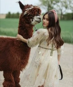 Promo 🎁 Lola + The Boys 👧 Girls Golden Star Party 👗 Dress 🛒 14 Lola + The Boys Girls Golden Star Party Dress