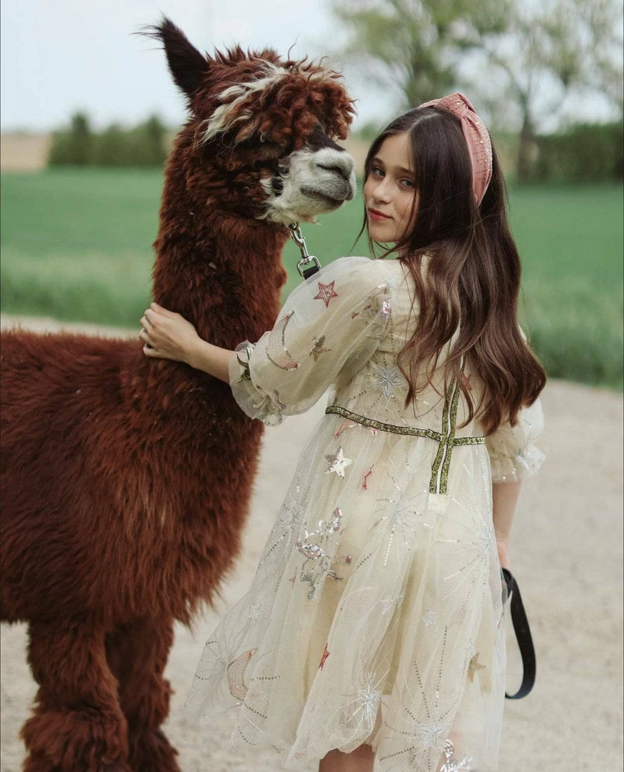 Promo 🎁 Lola + The Boys 👧 Girls Golden Star Party 👗 Dress 🛒 8 Lola + The Boys Girls Golden Star Party Dress