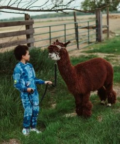 Lola + The Boys Deep In Space Set